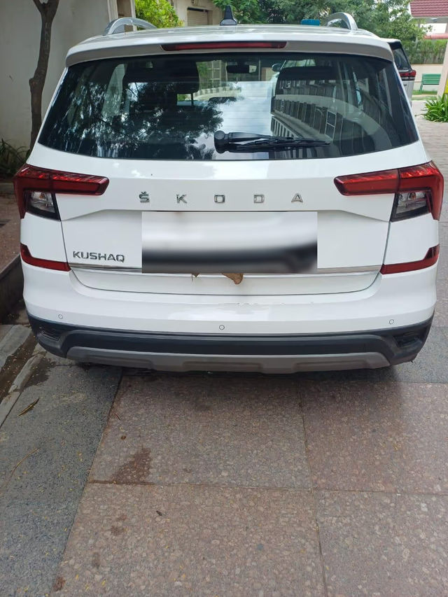 Image Used Car