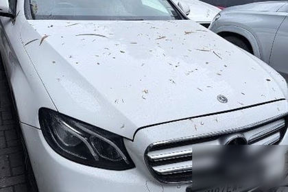 Used E 220 d