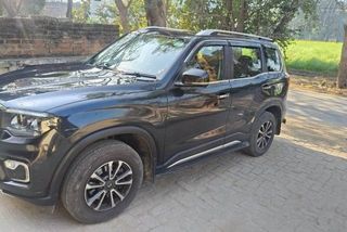 Used Z8L Diesel 2023-2025