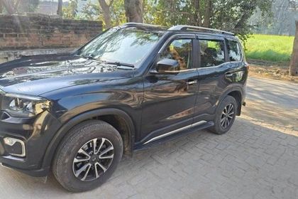 Used Z8L Diesel 2023-2025