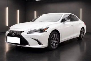 Used 300h Luxury