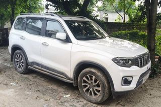 Used Z8L Diesel AT 2023-2025