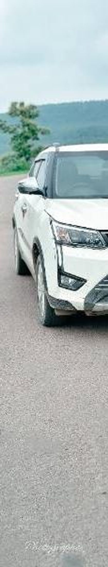 Used W8 Diesel BSVI