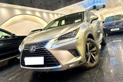 2020 Lexus NX 300h