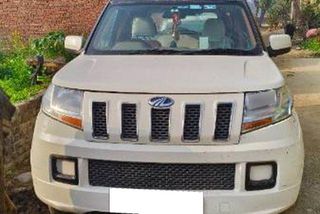 Used T6