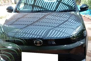 Used Pure Plus