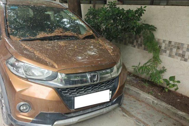 Honda WR-V i-VTEC VX Second-hand 2017 Honda WR-V i-VTEC VX for sale in New Delhi