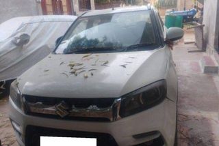Used ZDi