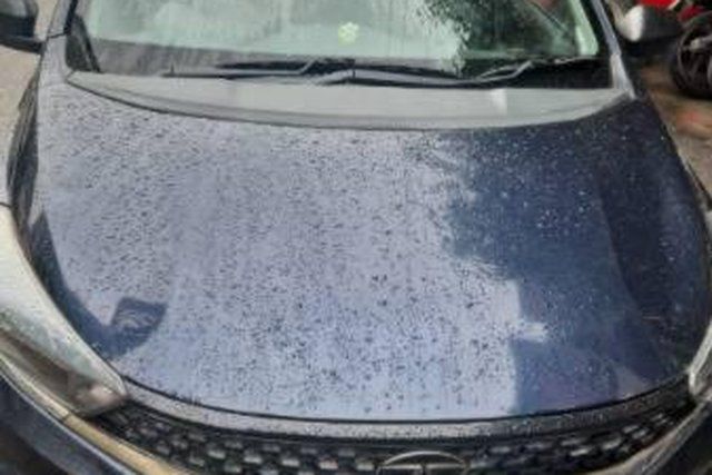 Tata Tiago XE CNG BSVI Second-hand 2023 Tata Tiago XE CNG BSVI for sale in New Delhi