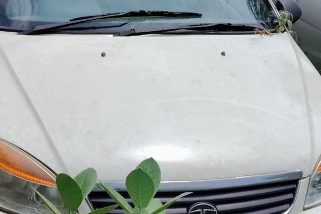 Tata Indigo LS TDI BSIII Second-hand 2011 Tata Indigo LS TDI BSIII for sale in Balasore