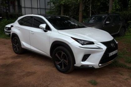 2019 Lexus NX 300h
