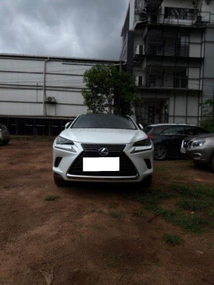 2019 Lexus NX 300h