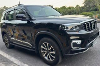 Used Z8
