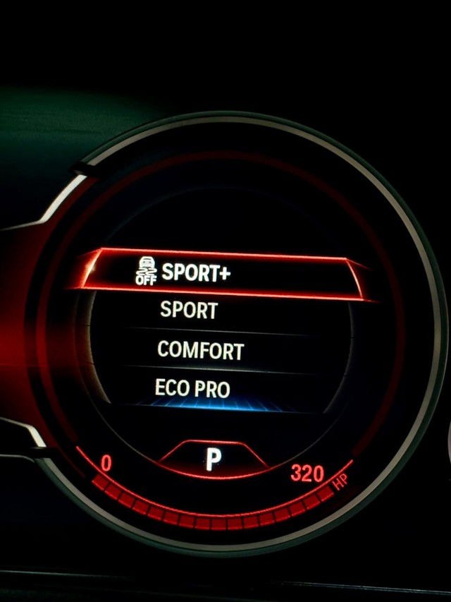 Second-hand 2017 BMW X5 xDrive 30d M Sport for sale in Mumbai-15