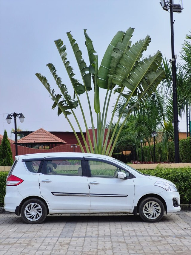 Second-hand 2016 Maruti Suzuki Ertiga BSIV VXI for sale in Surat-2