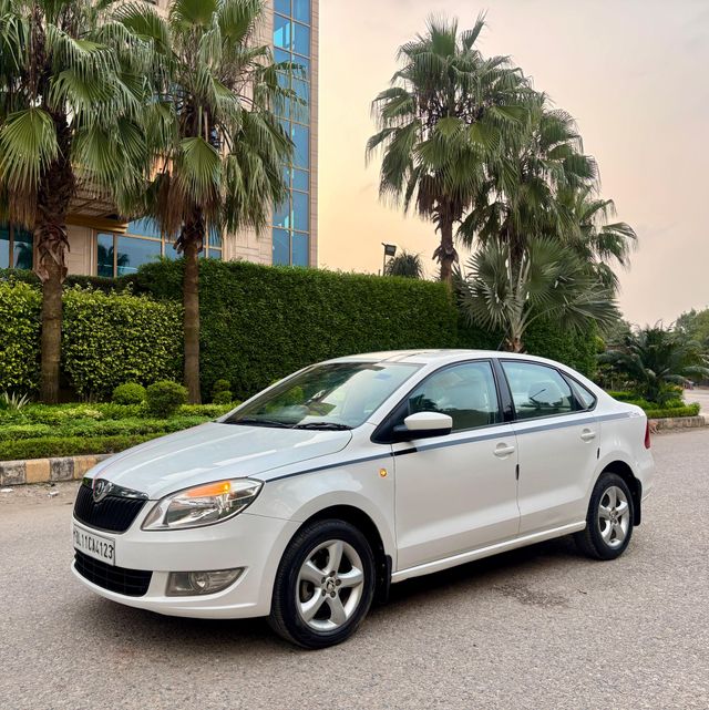 Skoda Rapid 1.6 MPI AT Ambition Second-hand 2014 Skoda Rapid 1.6 MPI AT Ambition for sale in New Delhi