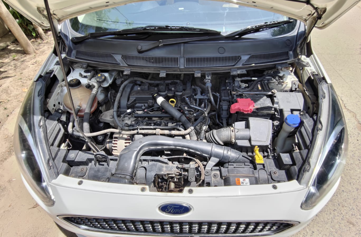 Image Used Car