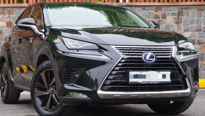 2018 Lexus NX 300h