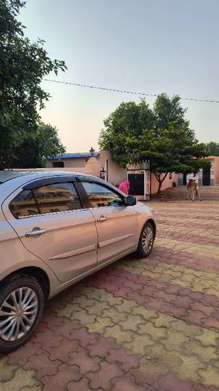 Maruti Ciaz 2014-2017 Maruti Ciaz VDi Plus SHVS