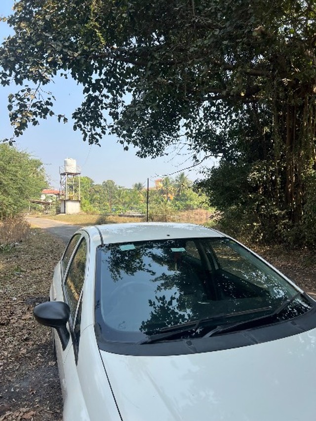 Second-hand 2011 Fiat Punto 1.3 Active for sale in Mumbai-2