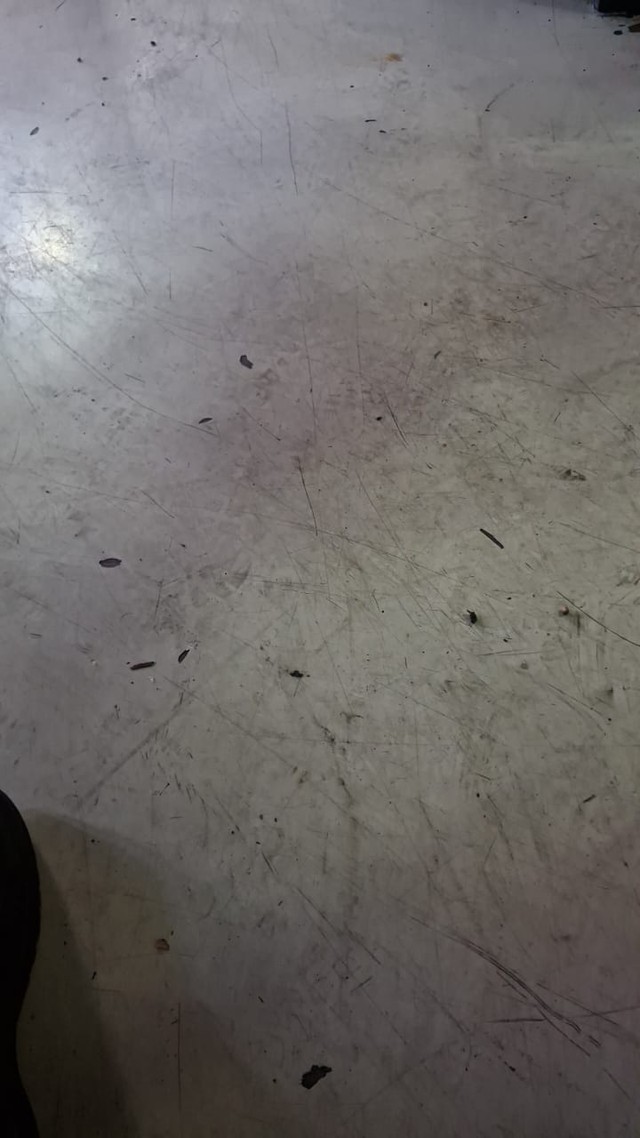 Maruti Ciaz ZXi Second-hand 2014 Maruti Ciaz ZXi for sale in Mysore-3