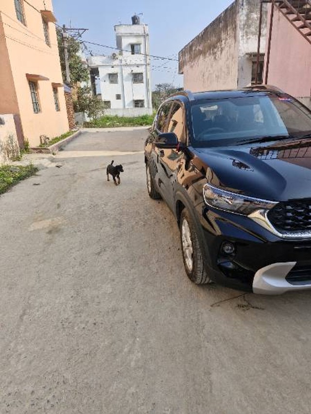Second-hand 2023 Kia Sonet HTK Plus for sale in Muzaffarpur-3