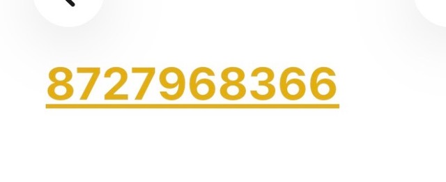 Maruti Suzuki Alto 800 VXI BSVI Second-hand 2021 Maruti Suzuki Alto 800 VXI BSVI for sale in Gurdaspur-1