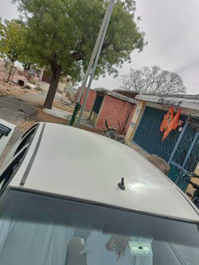 https://images10.gaadi.com/usedgaadi-sellcar/UsedCar/e5e0c298a/03f274ab-054d-48db-8e86-104373188e4a.jpg?imwidth=6402