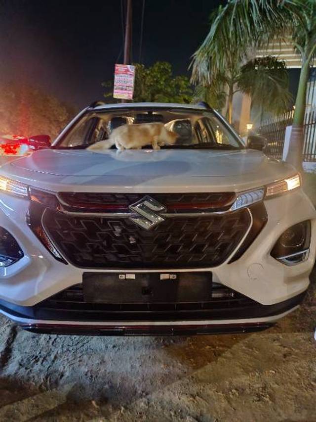 https://images10.gaadi.com/usedgaadi-sellcar/UsedCar/f5552037a/6d391f1a-19b5-4c15-8fbf-b464d2d08380.jpg?imwidth=6402