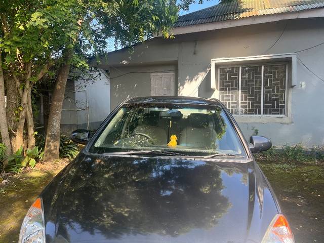https://images10.gaadi.com/usedgaadi-sellcar/UsedCar/f56b3125a/abe366dd-d10f-4769-a7cf-1b441c7a02ce.jpeg?imwidth=6402