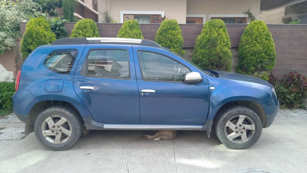 Image Used Car