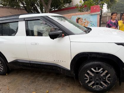Used Adventure