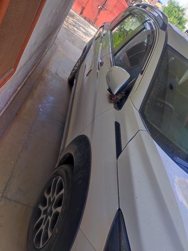 Maruti Suzuki XL6 Zeta CNG Second-hand 2023 Maruti Suzuki XL6 Zeta CNG for sale in Gorakhpur