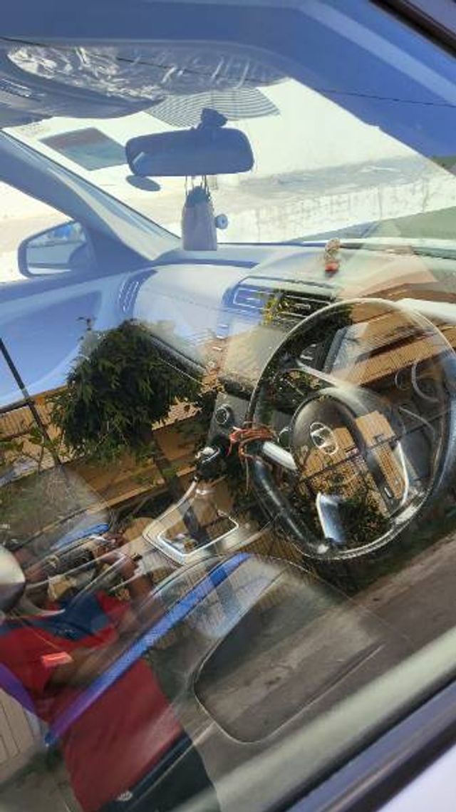 Image Used Car