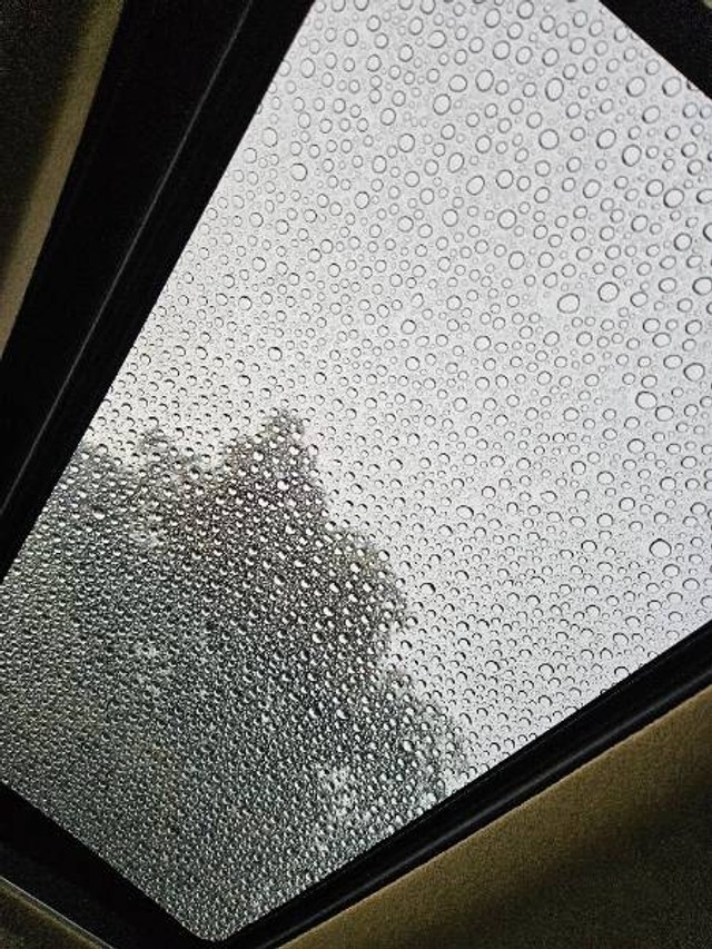 Second-hand 2019 Honda City VX MT for sale in Bharuch-3